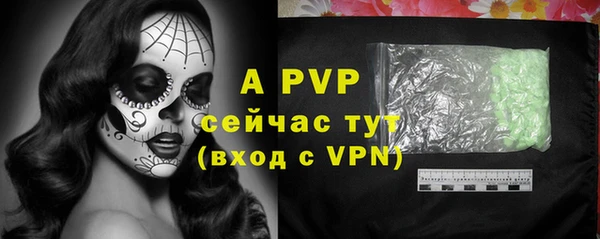 гидра Бородино