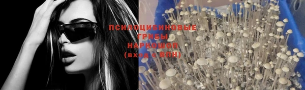 прущая мука Верея