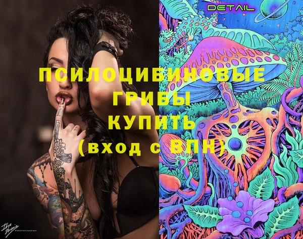 гидра Бородино