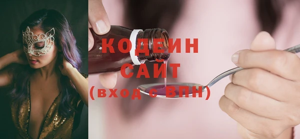 гидра Бородино