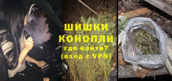 гидра Бородино