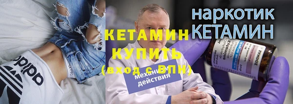 гидра Бородино